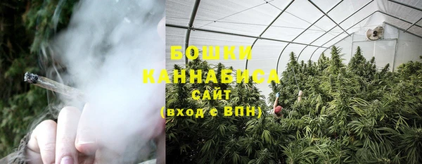 бошки Бронницы