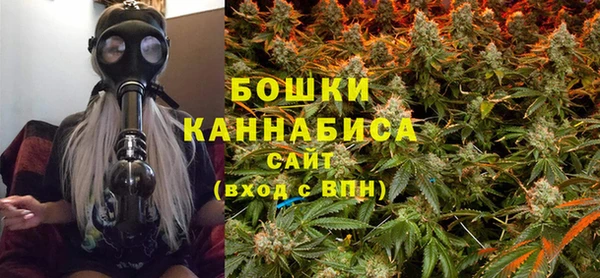 ешки Бородино