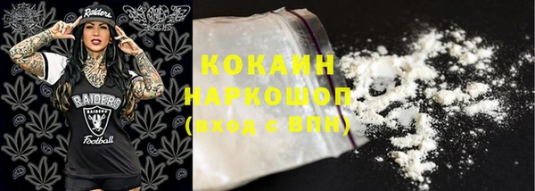 ешки Бородино