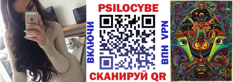 Купить где  Тольятти  Галлюциногенные грибы GOLDEN TEACHER 