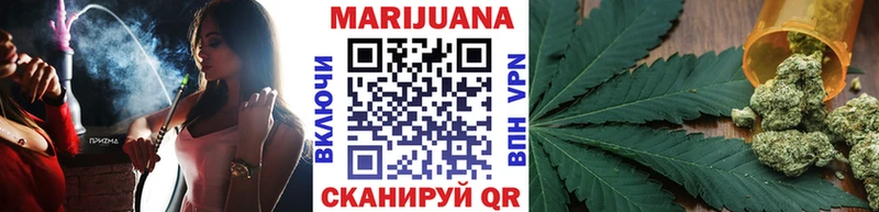 Конопля план  Купить где  Тольятти 